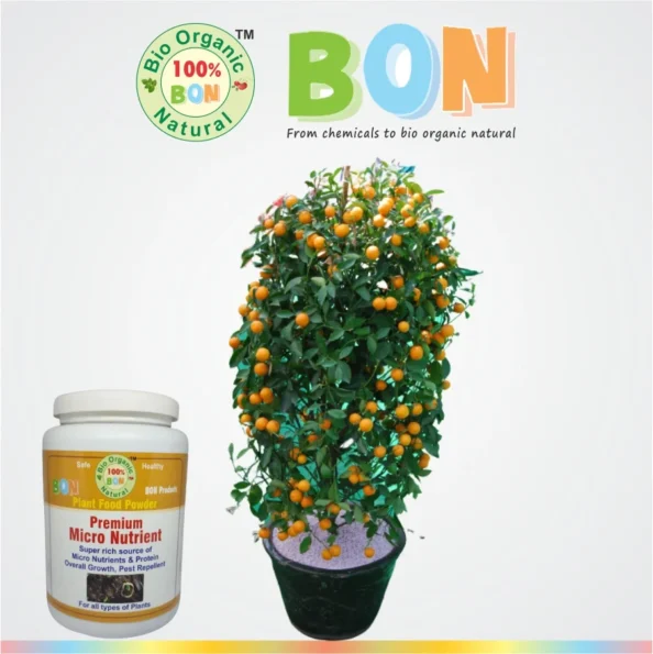 Impact of BON on potted plants BON Products)img