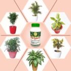 Plant Protection Pot Products Uses)img