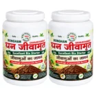 Ghanjevamrut Bon Products)img
