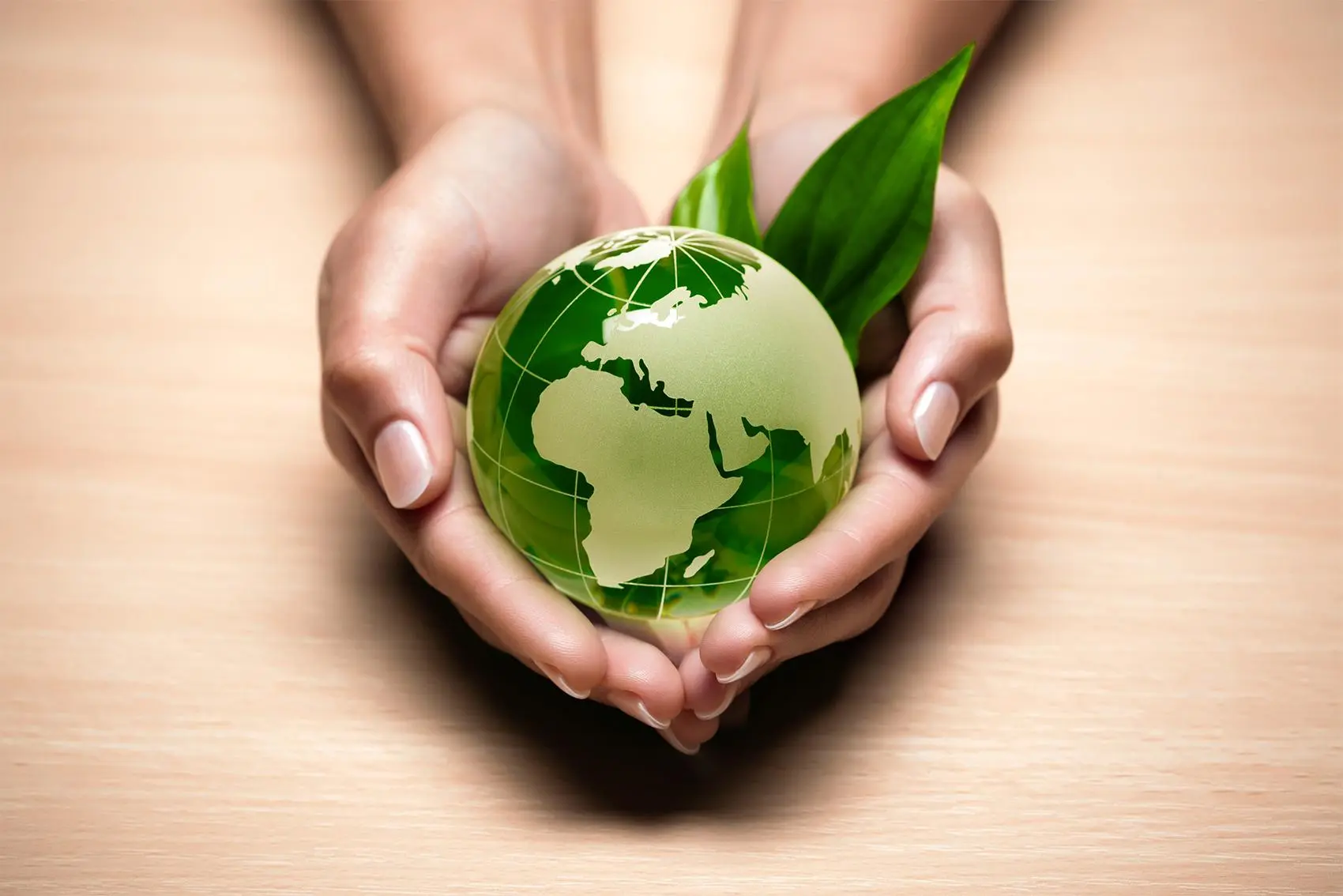 BON Products Save Earth Images for Images)img